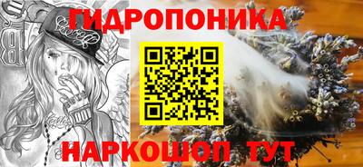 тгк Заволжье