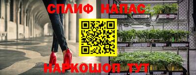 молекула духа Жуковский