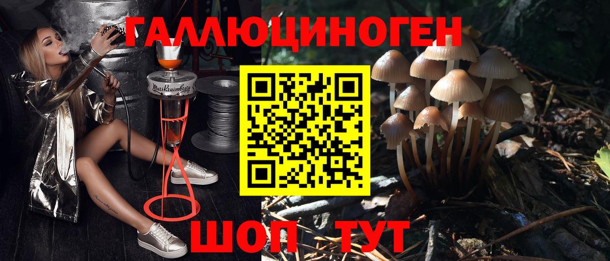 Псилоцибиновые грибы GOLDEN TEACHER  Вход с VPN  Лесосибирск 