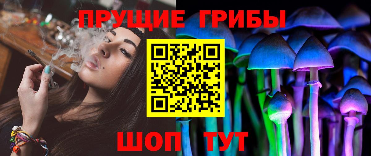 Галлюциногенные грибы Psilocybine cubensis Лесосибирск